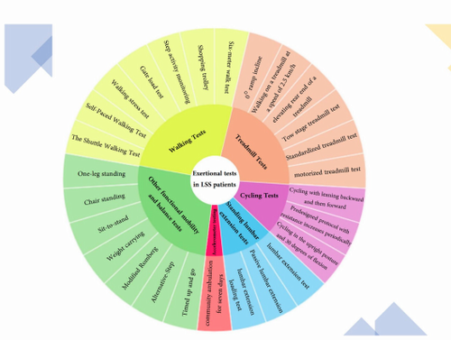 Objective physical performance and exercise tests of patients with lumbar spinal stenosis: a systematic scoping review